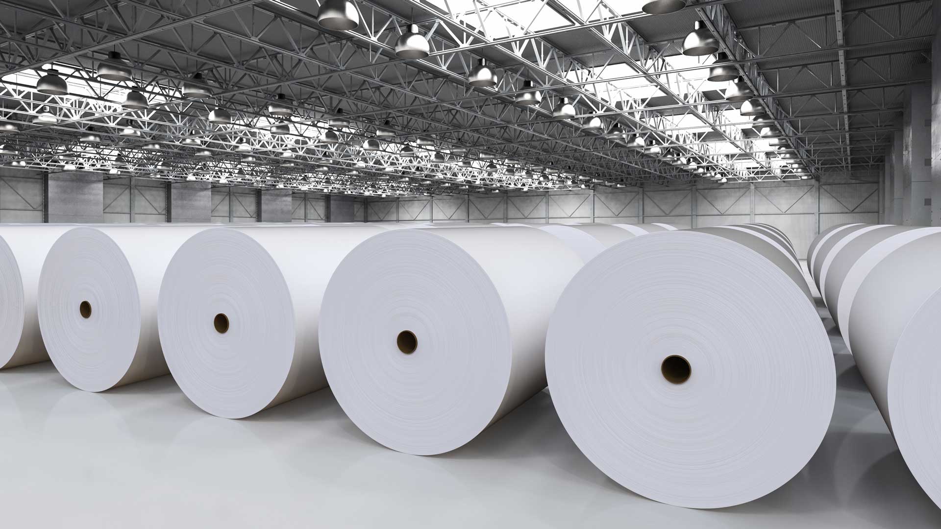 Industry pulp and paper