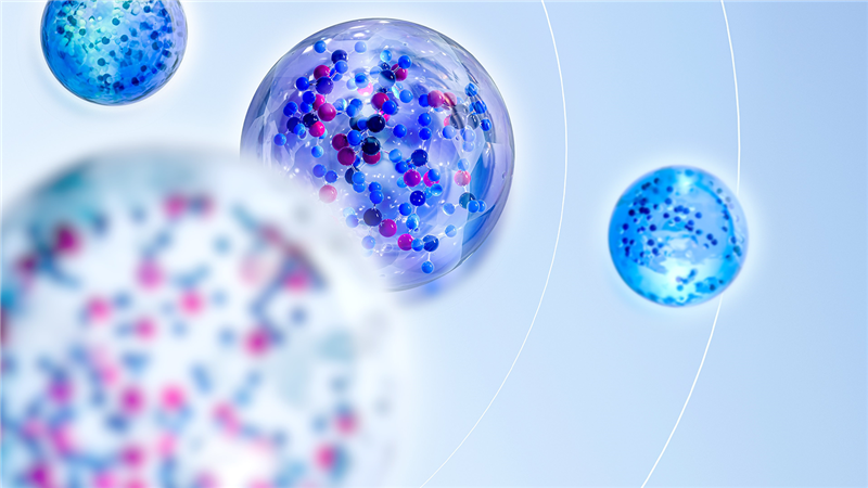 rendering of island in shape of Everllence logo