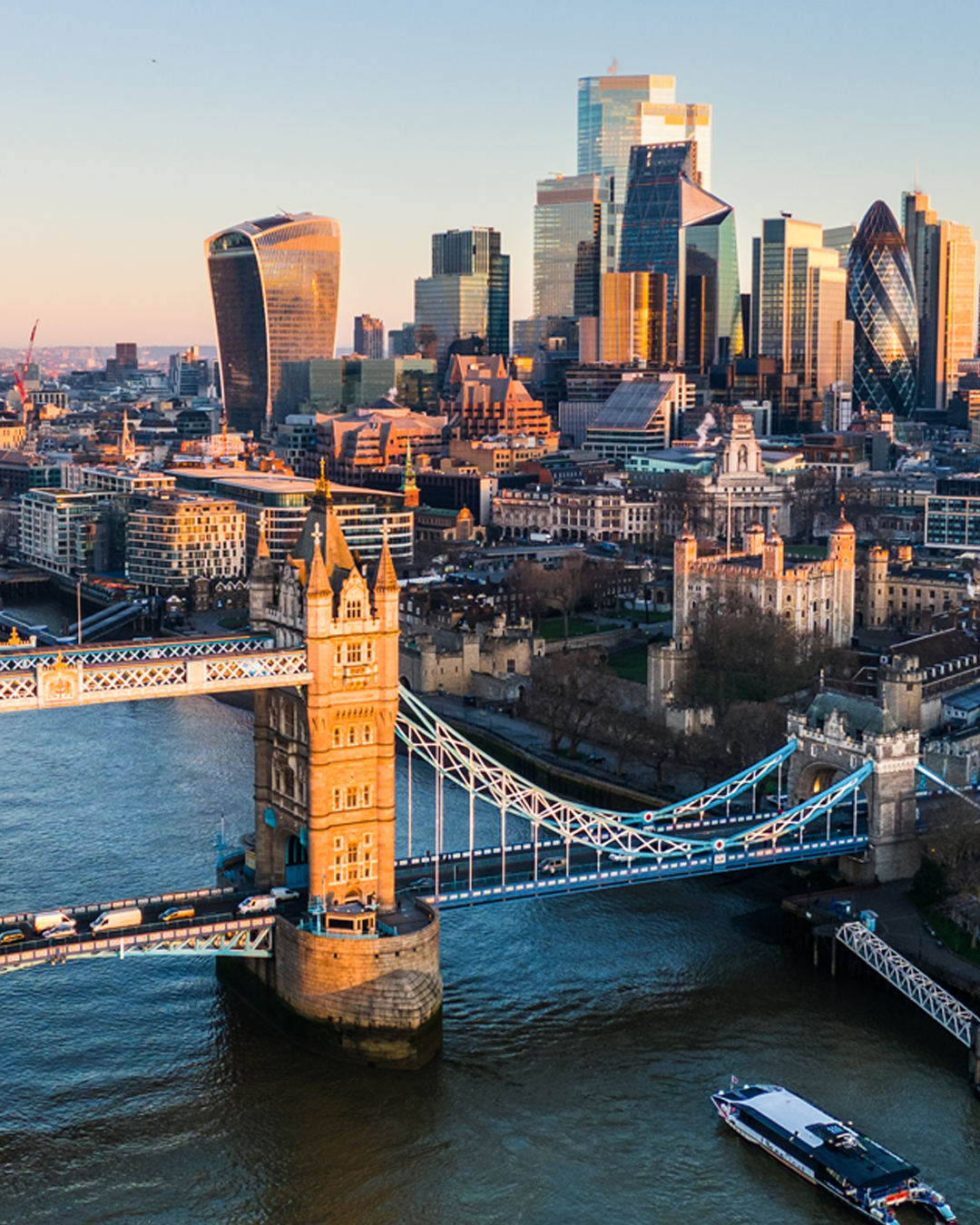 bridge with city in the background